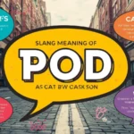 pod meaning slang