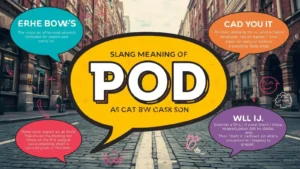 pod meaning slang