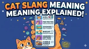 Cat Slang Meaning Explained